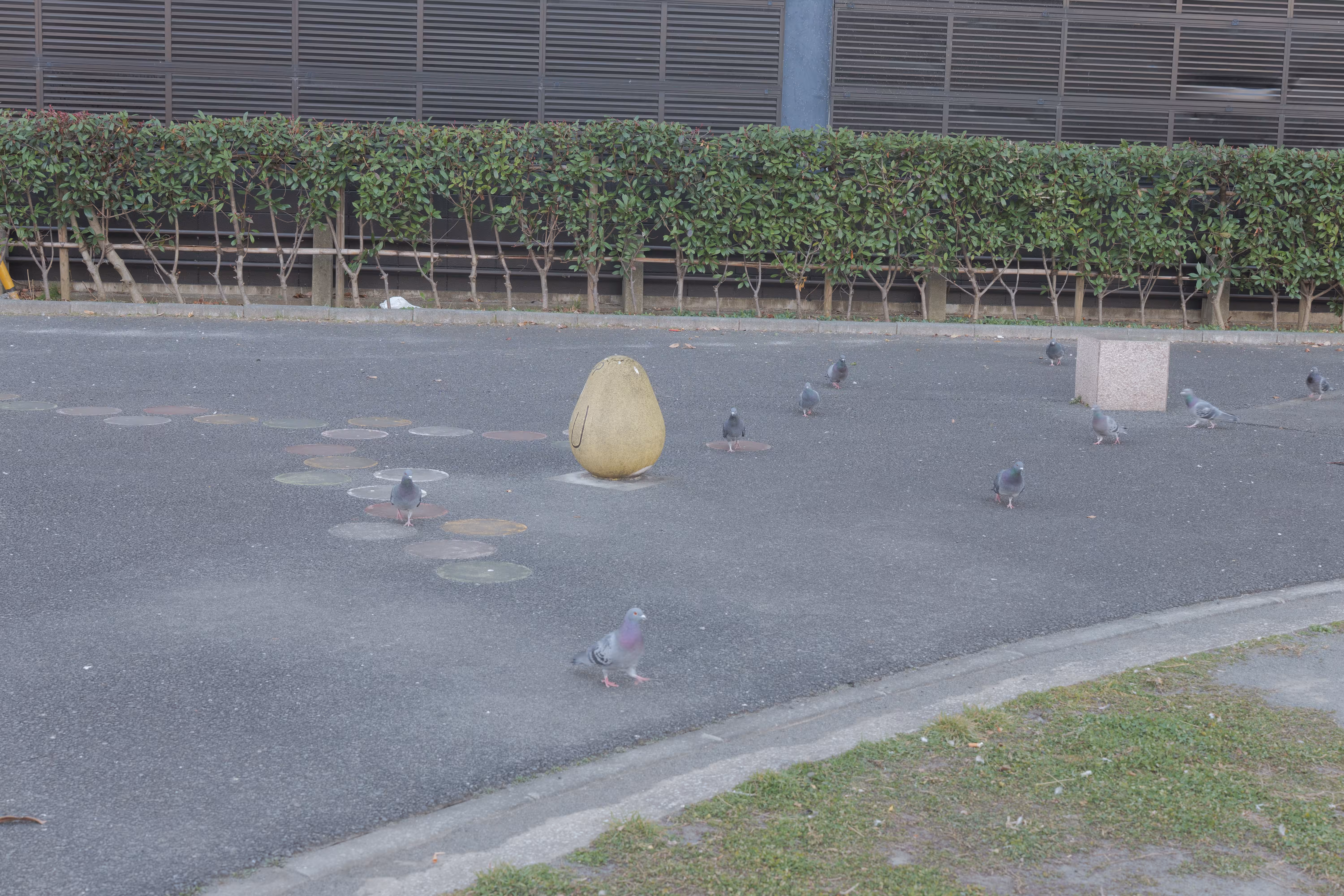 LUMIX Photo Style Flat capture