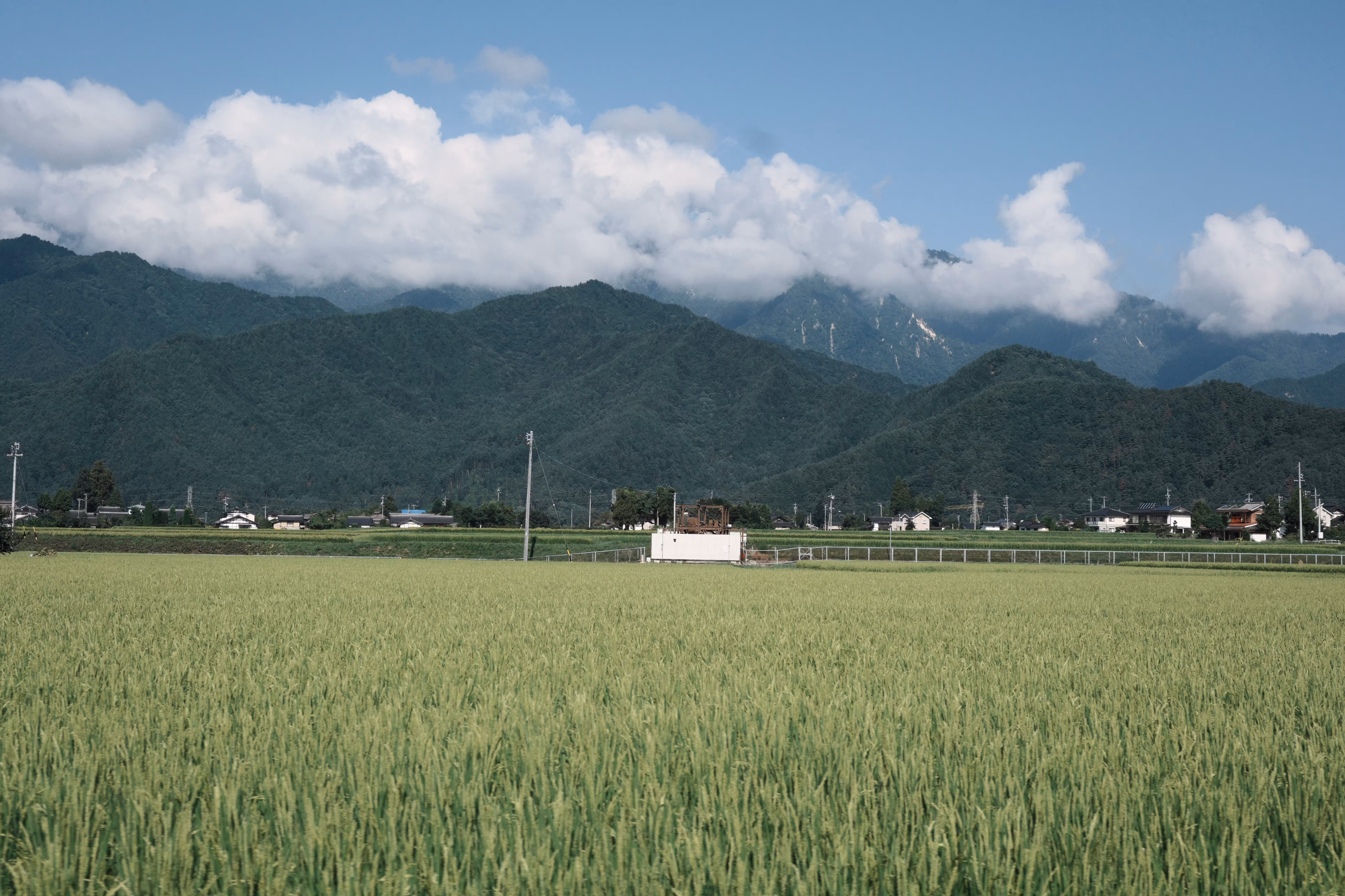 Color Matcher result